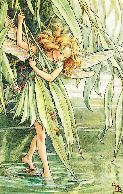 Flower Fairies Illustration by Cicely Mary Barker - The Willow Fairy, 1940