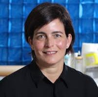 Quisqueya Henríquez